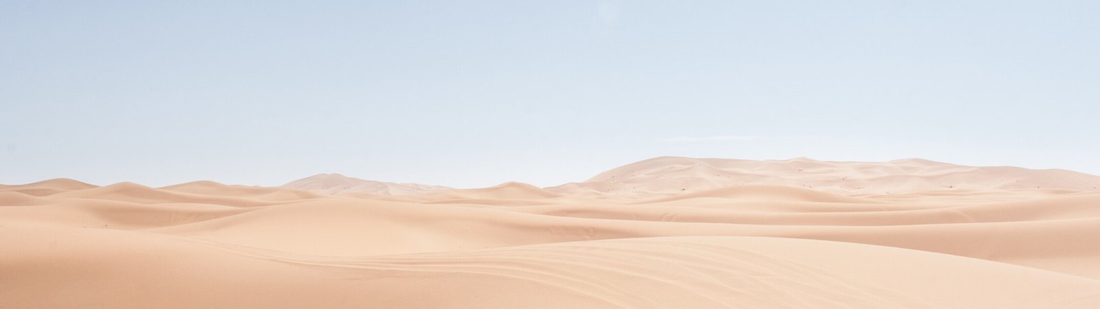 landscape 01.jpg