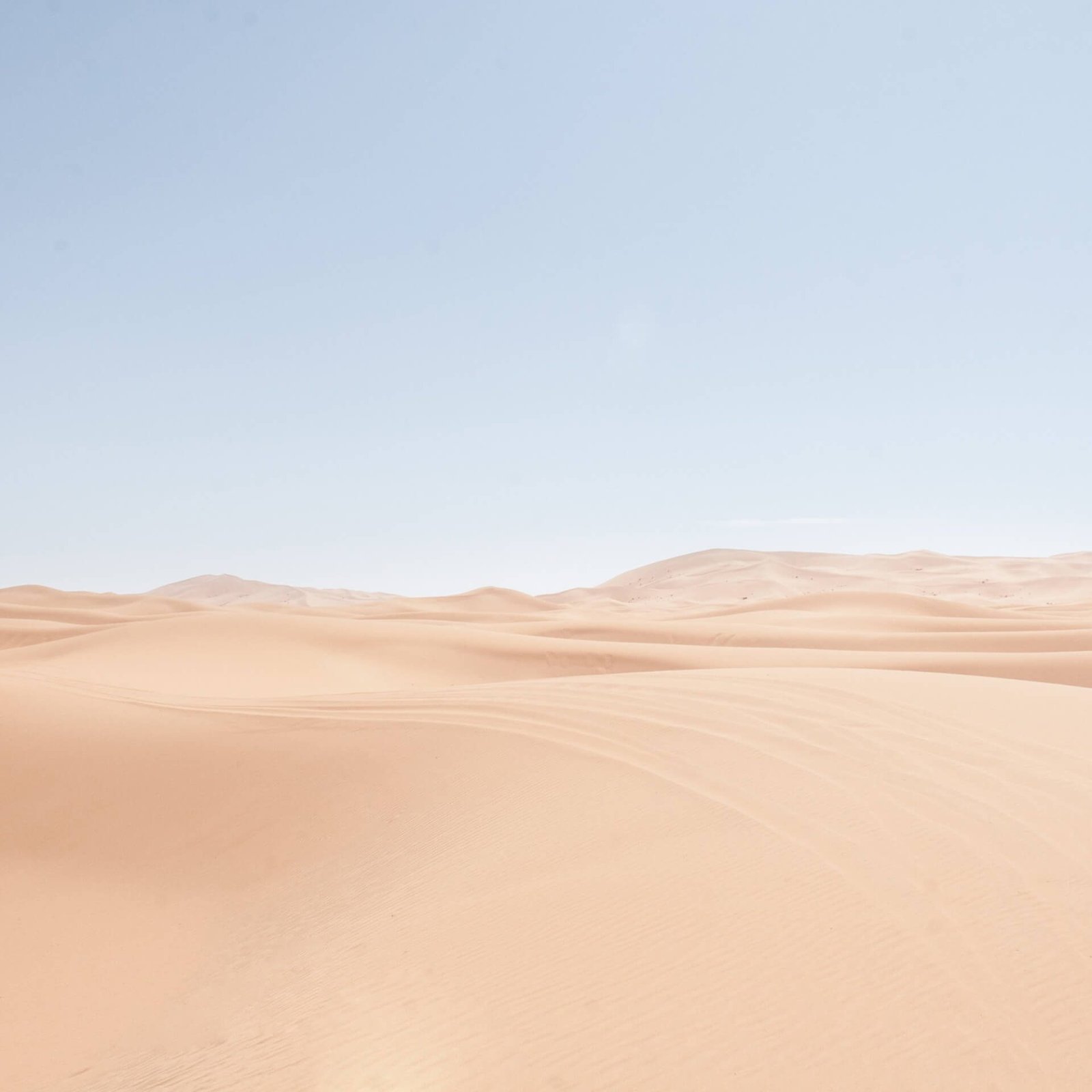 landscape 02.jpg